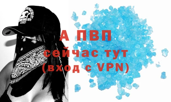 ECSTASY Абаза